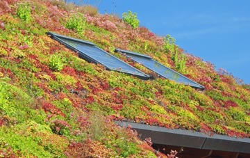 Walberswick living roof systems